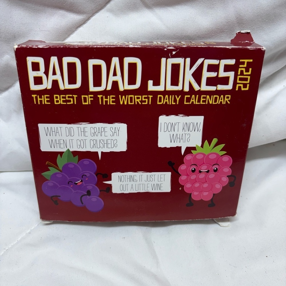 Bad Dad Jokes 2024 6.2 X 5.4 Box Calendar (Other)